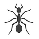 ant silhouette