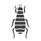 flea silhouette